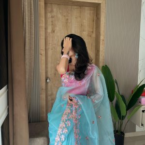 Manali Embroidered Organza Silk Saree with Raw Silk Blouse