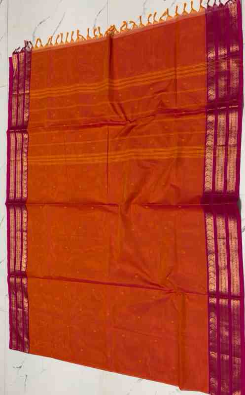 Traditional Kanchi Cotton Saree Collection - Image 4
